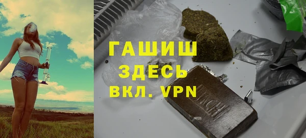 скорость Болотное
